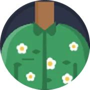 Hawaiian shirt, common cosmetic in Dopami